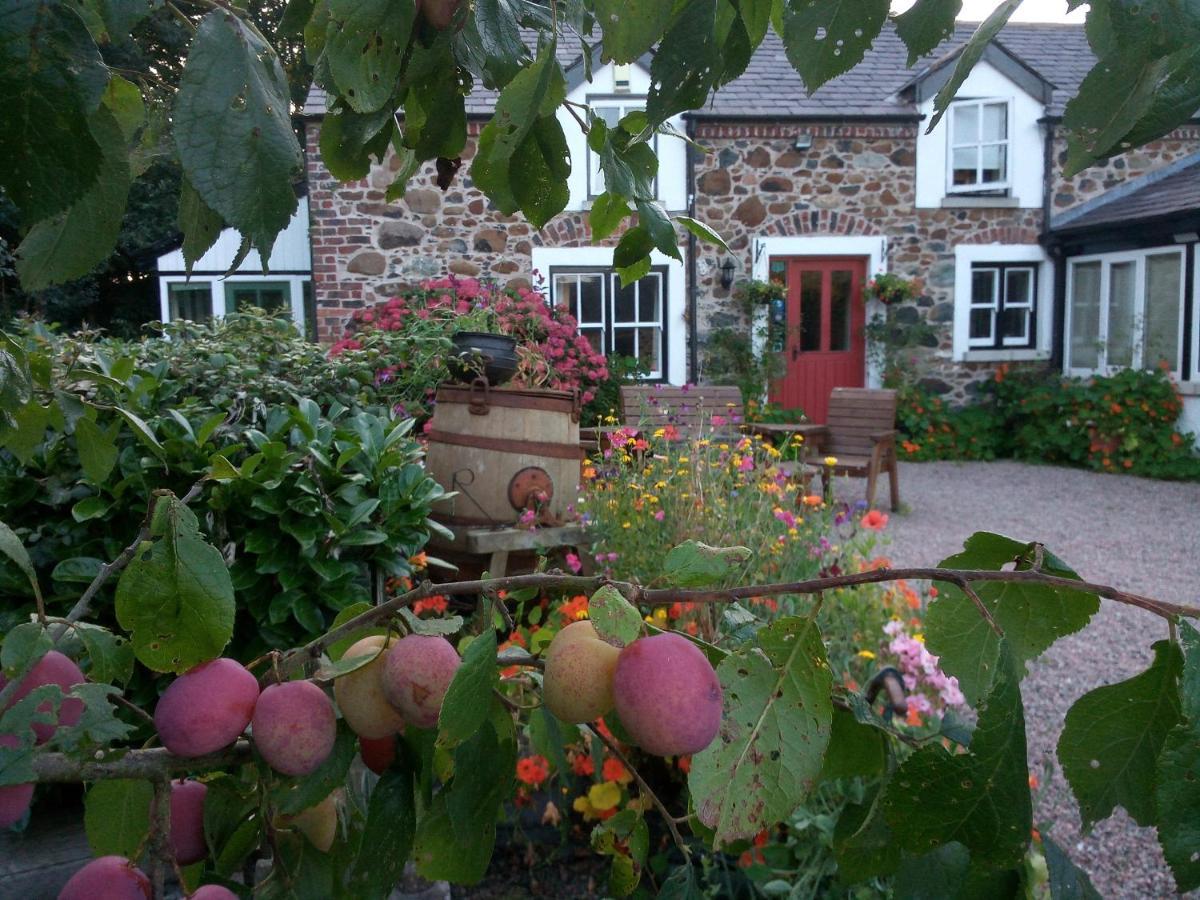 Berwick Hall Cottage Moira  Екстериор снимка