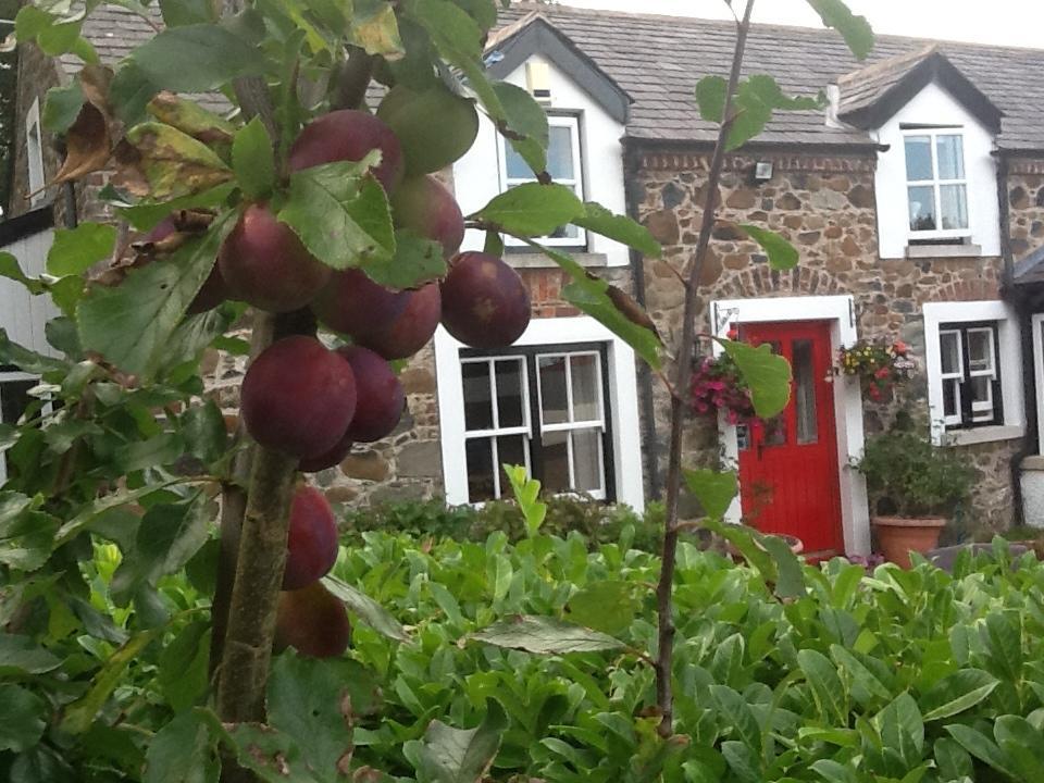 Berwick Hall Cottage Moira  Стая снимка